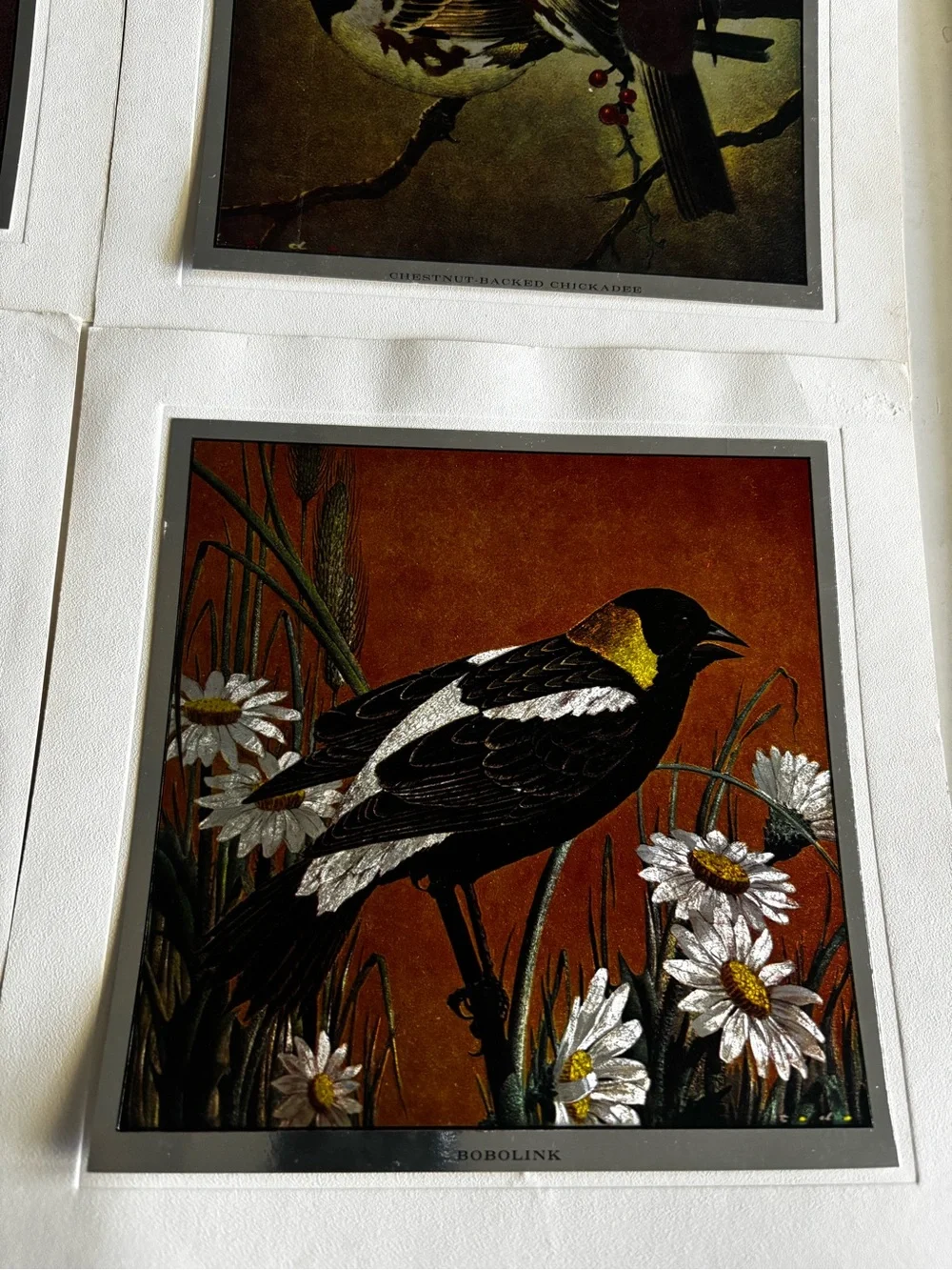 Set of 4 Metallic Prints of Birds Mounted on Backing - 7